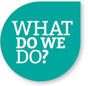 रेक्सको क्या करता है?